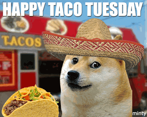 Doge Taco GIF