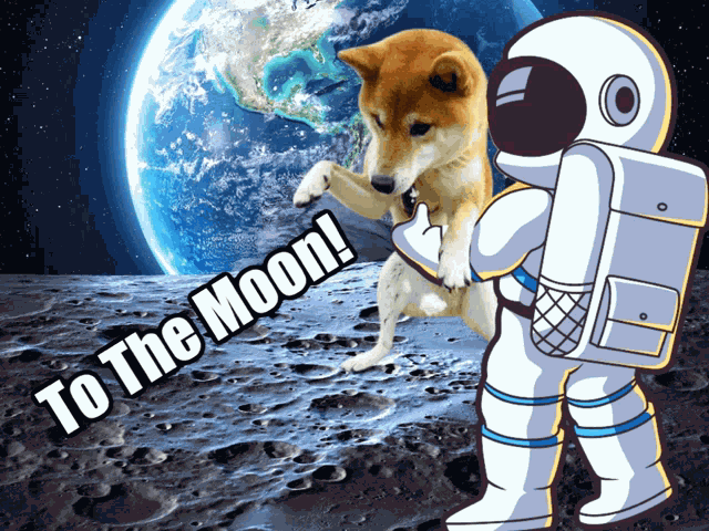 Dogecoin Meme GIF