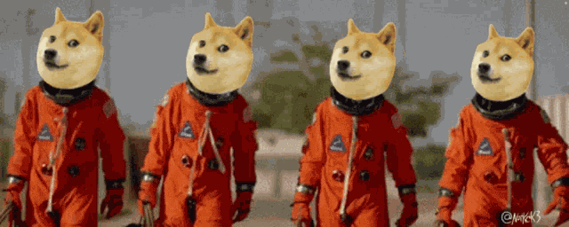 Dogecoin Notkdk3 GIF