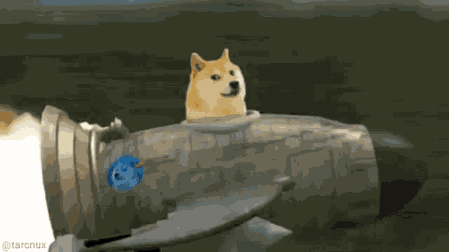 Dogecoin Rocket GIF