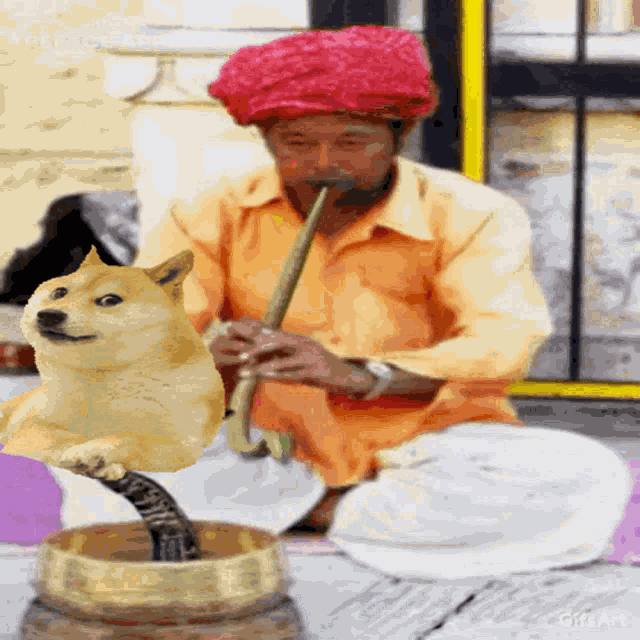 Dogecoin Tweet Doge GIF