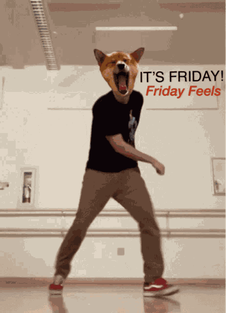 Dogedance Friday GIF