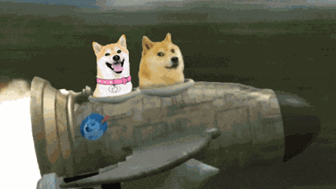 Dogegf Dogegf Rocket Speed GIF