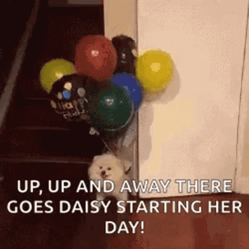 Doggo Balloons GIF