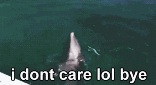 Dolphin Ocean GIF