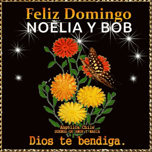 Domingo Sunday GIF