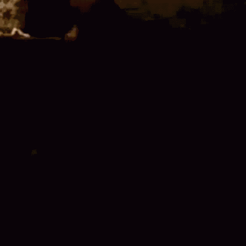 Don Corleone Film GIF
