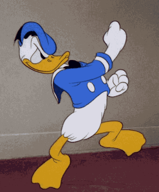 Donald Duck Fight GIF