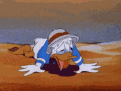 Donald Duck Heat GIF