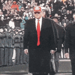 Donald Trump Donald Trump Dance GIF