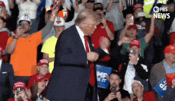 Donald Trump Trump Dance GIF