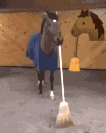 Donkey Animal GIF