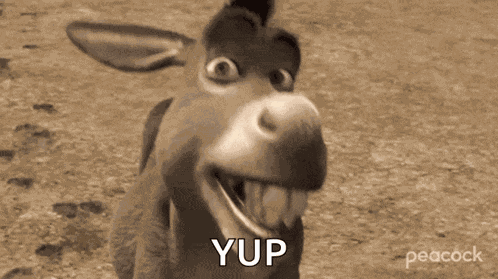 Donkey From GIF