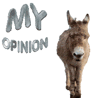 Donkey Gif My Expert Opinion Gif Sticker