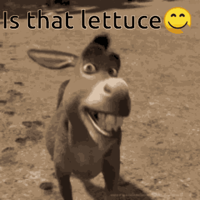 Donkey GIF
