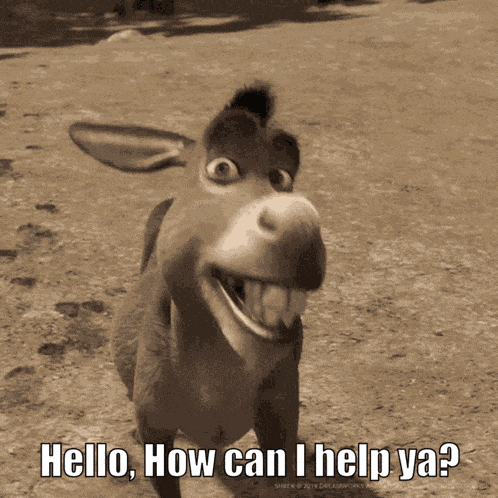Donkey Help You GIF