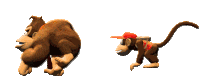Donkey Kong Diddy Kong Sticker