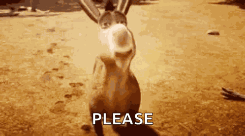 Donkey Smile GIF