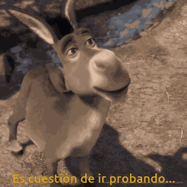 Donkey Texto GIF