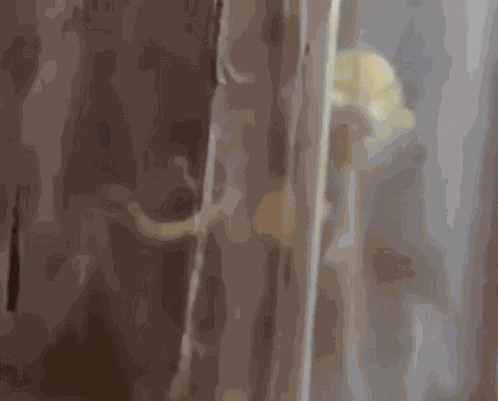 Don'T Hug Me I’m Scared Dhmis GIF