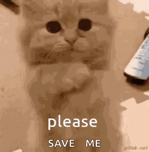 Don’t Make Me Beg GIF