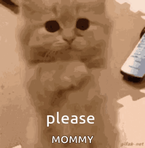 Don’t Make Me Beg GIF