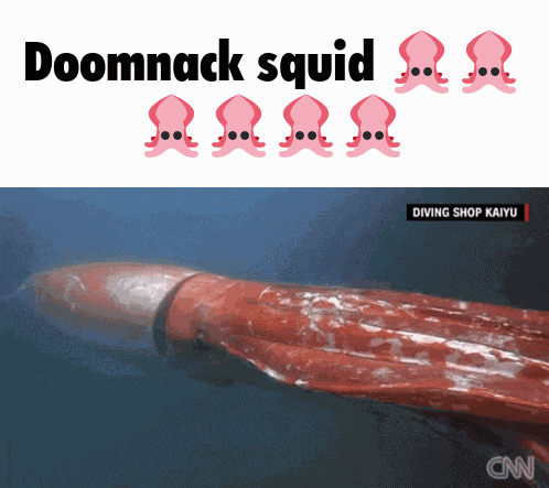 Doomnack Squid GIF