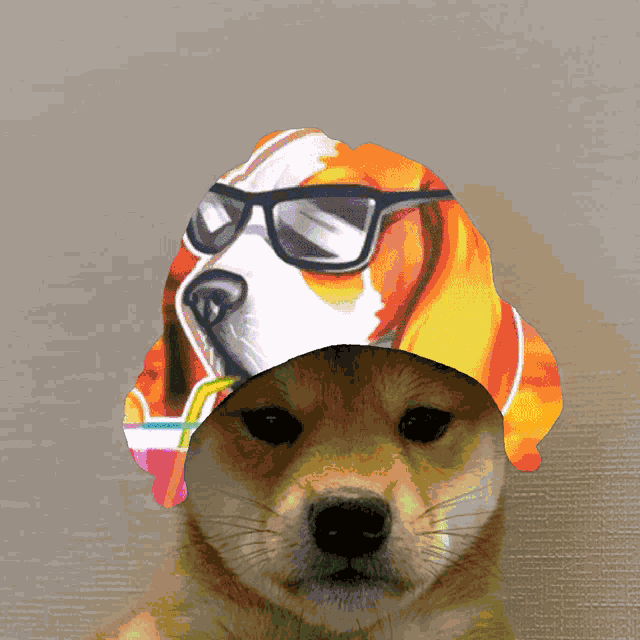 Doozyclan Rainbow GIF