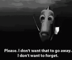 Dory Friendship Meme