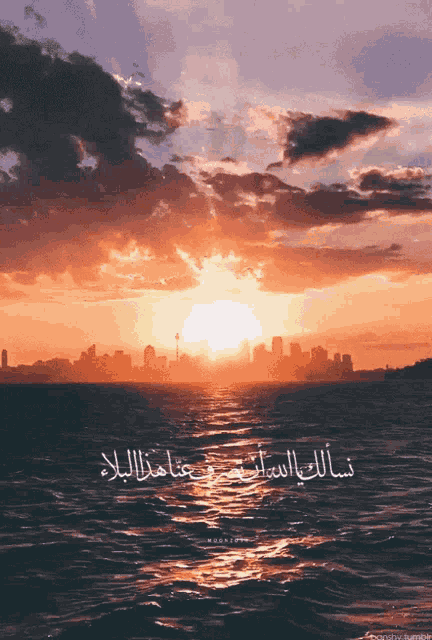 Douaa Sun GIF