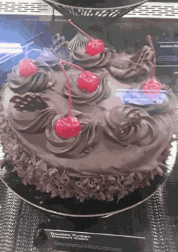 Double Fudge Cake Dessert GIF