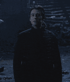 Dracula Van Helsing GIF
