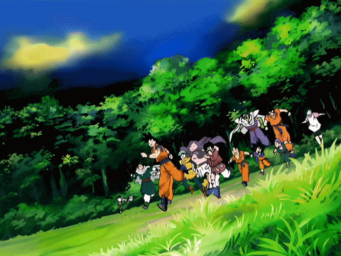 Dragon Ball Dragon Team GIF