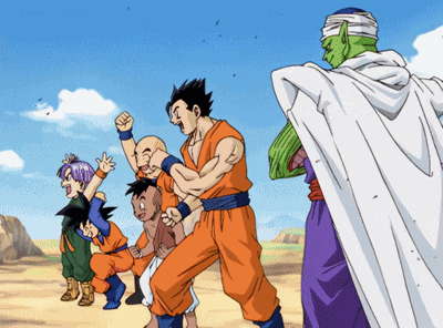 Dragon Ball Dragon Team GIF