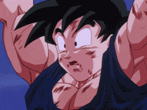 Dragon Ball Z Goku GIF