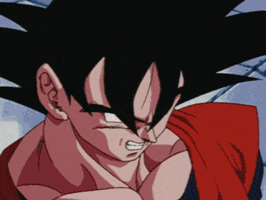 Dragon Ball Z Goku GIF