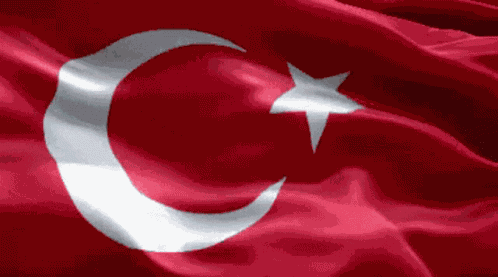Drapeau Turque Flag Of Turkey GIF