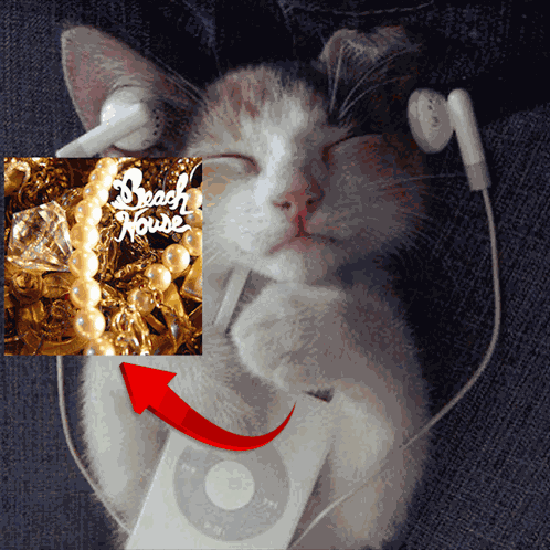 Dream Pop Cat GIF
