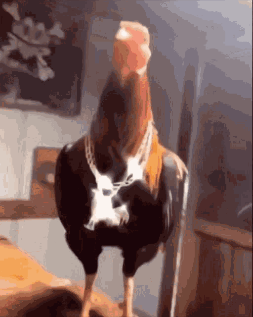 Dripped Cock GIF