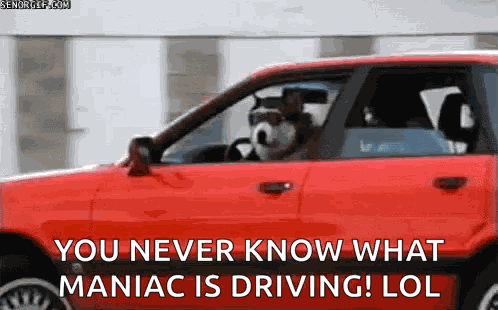 Drive What GIF