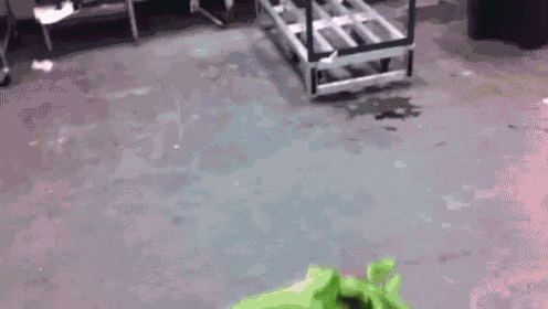 Dropping Some Sick Beats GIF