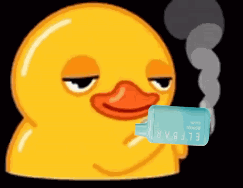 Duck Aya GIF