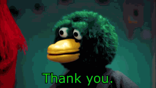 Duck Dhmis GIF