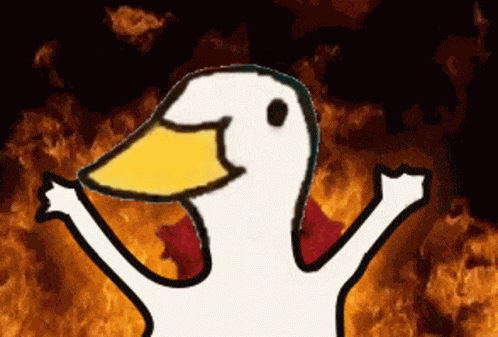 Duck Ducks GIF