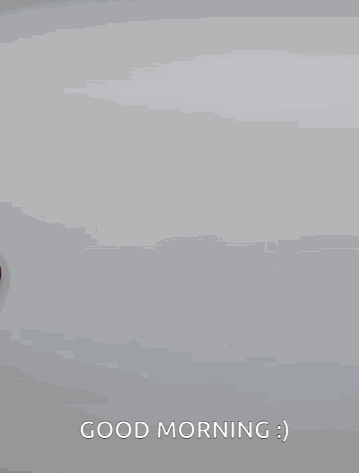 Duck Good Morning GIF