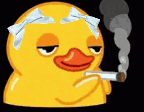 Duck Smoking Megan Moroney Emo Cowgirl Indifferent Megan Moroney GIF