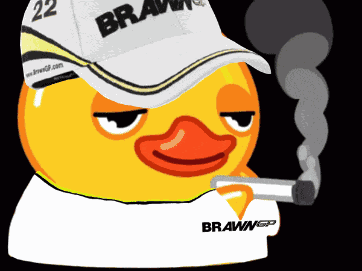 Duck Smoking Stan Twitter GIF