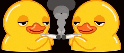 Ducks Smoking Szxlish GIF