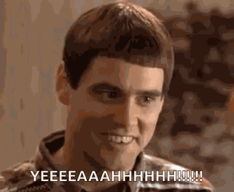 Dumb And Dumber Comedy GIF