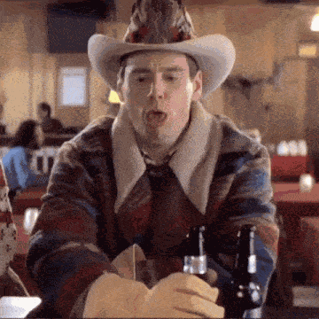 Dumb And Dumber Dumb And Dumber Gif GIF